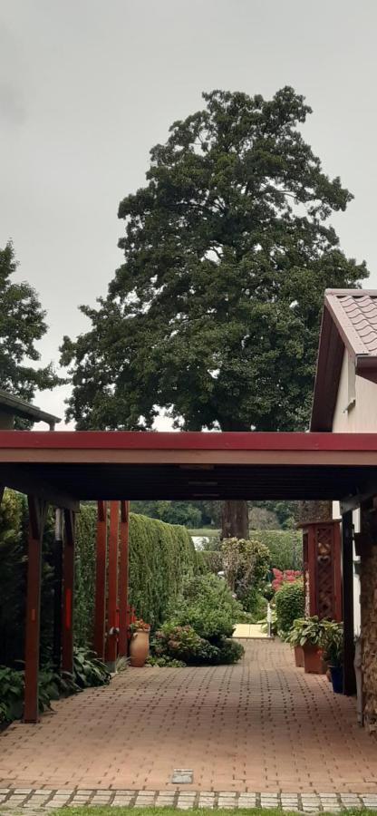 Bungalow Idylle Am See Neuruppin Exterior photo